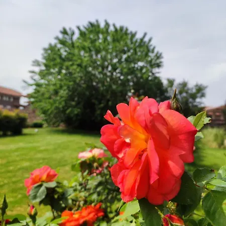 Villa Castello Visconti - Exclusive