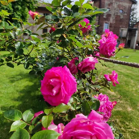 Castello Visconti - Exclusive