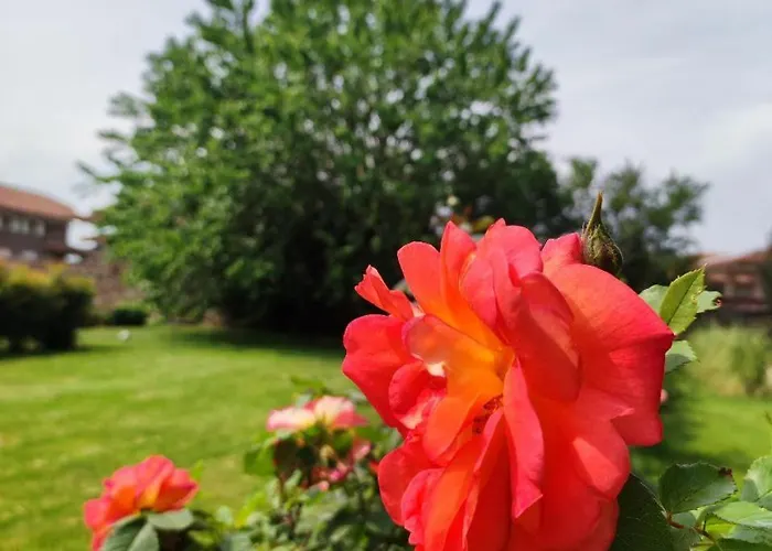 Villa Castello Visconti - Exclusive