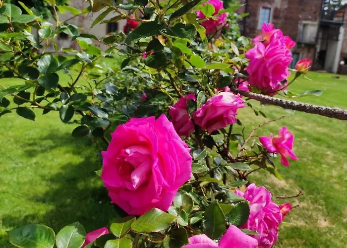 Castello Visconti - Exclusive